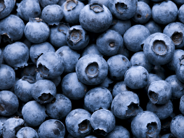 Frozen Blueberry1.png