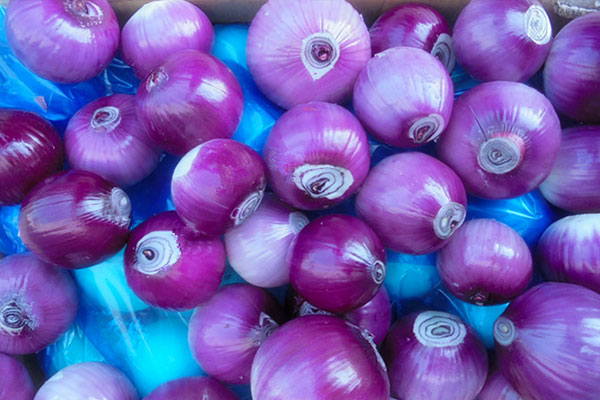 Frozen Shallot Onion1.jpg
