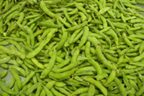 Frozen Soybean1.jpg