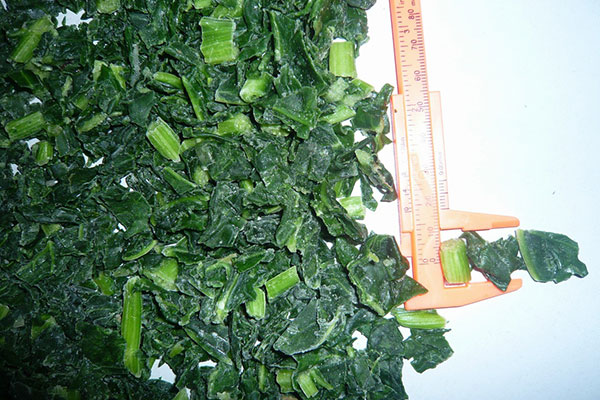 Frozen Spinach1.jpg
