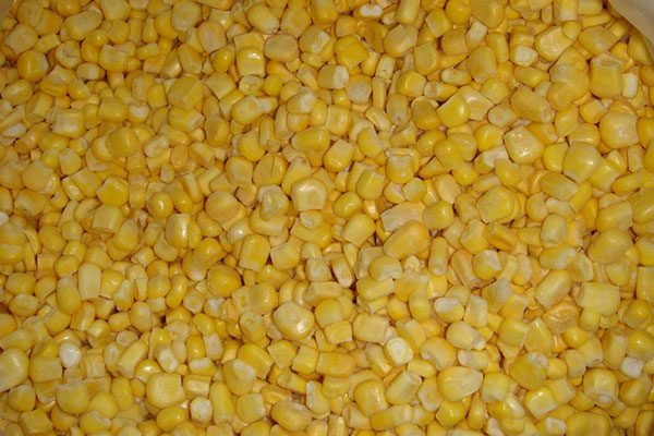 Frozen Sweet Corn1.jpg